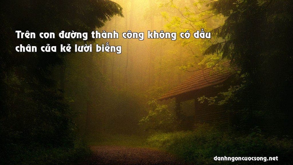 tren con duong thanh cong khong co dau chan cua ke luoi bieng