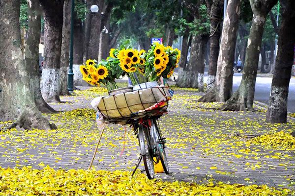 Bài tham khảo: Cảm nghĩ về mùa thu