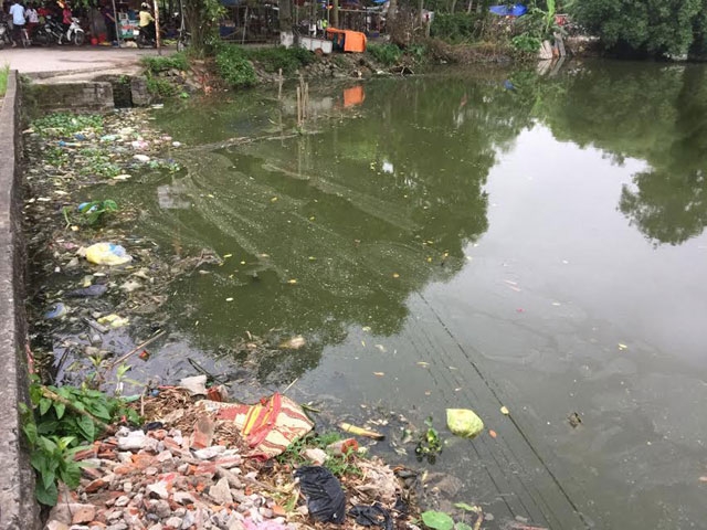 bai van mau nghi luan xa hoi ve o nhiem moi truong nuoc