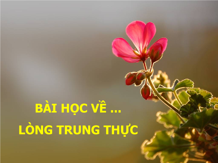 nghi luan xa hoi 200 chu ve duc tinh trung thuc