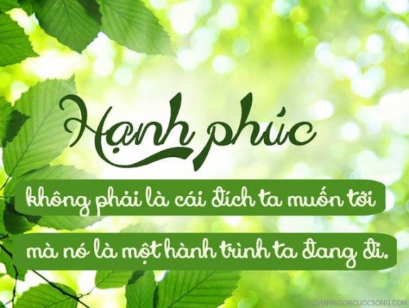 bai van mau nghi luan xa hoi ve hanh phuc