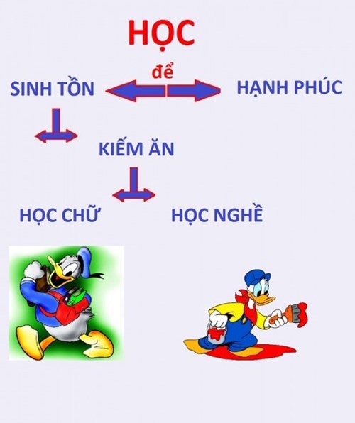 van mau nghi luan xa hoi hoc de lam gi